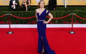 the best red carpet gowns from the 2014 sag awards