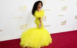 amazing red carpet dresses from the 2023 SAG