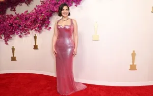 the best red carpet dresses Oscars 2024