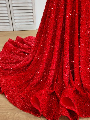 sparkly red sequin over velvet dress