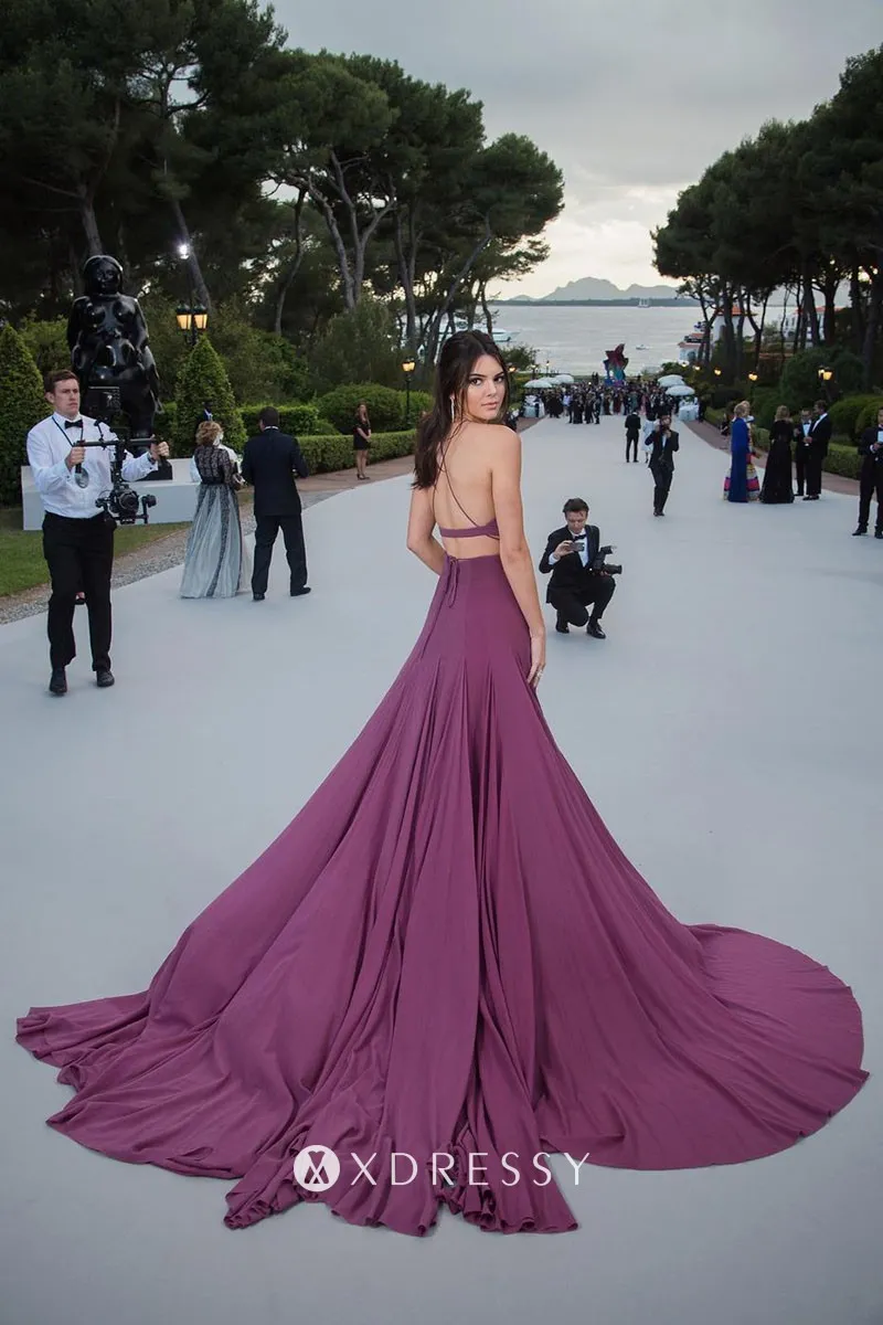 Kendall Jenner purple backless long train prom dress