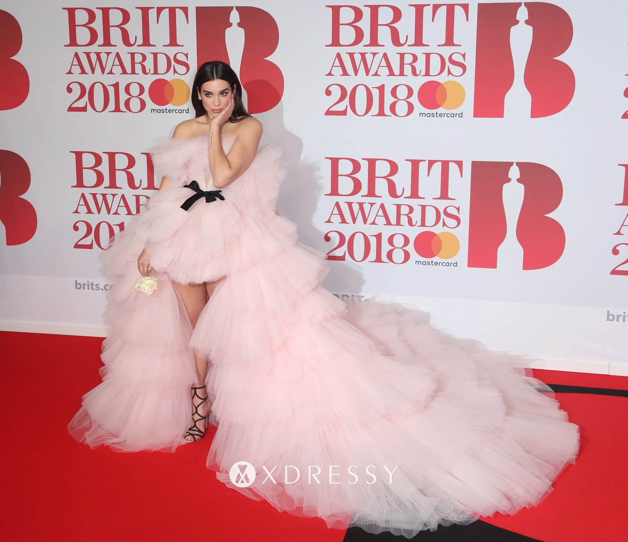 Dua Lipa tiered light pink tulle ball gown Dua Lipa tiered light pink tulle ball gown