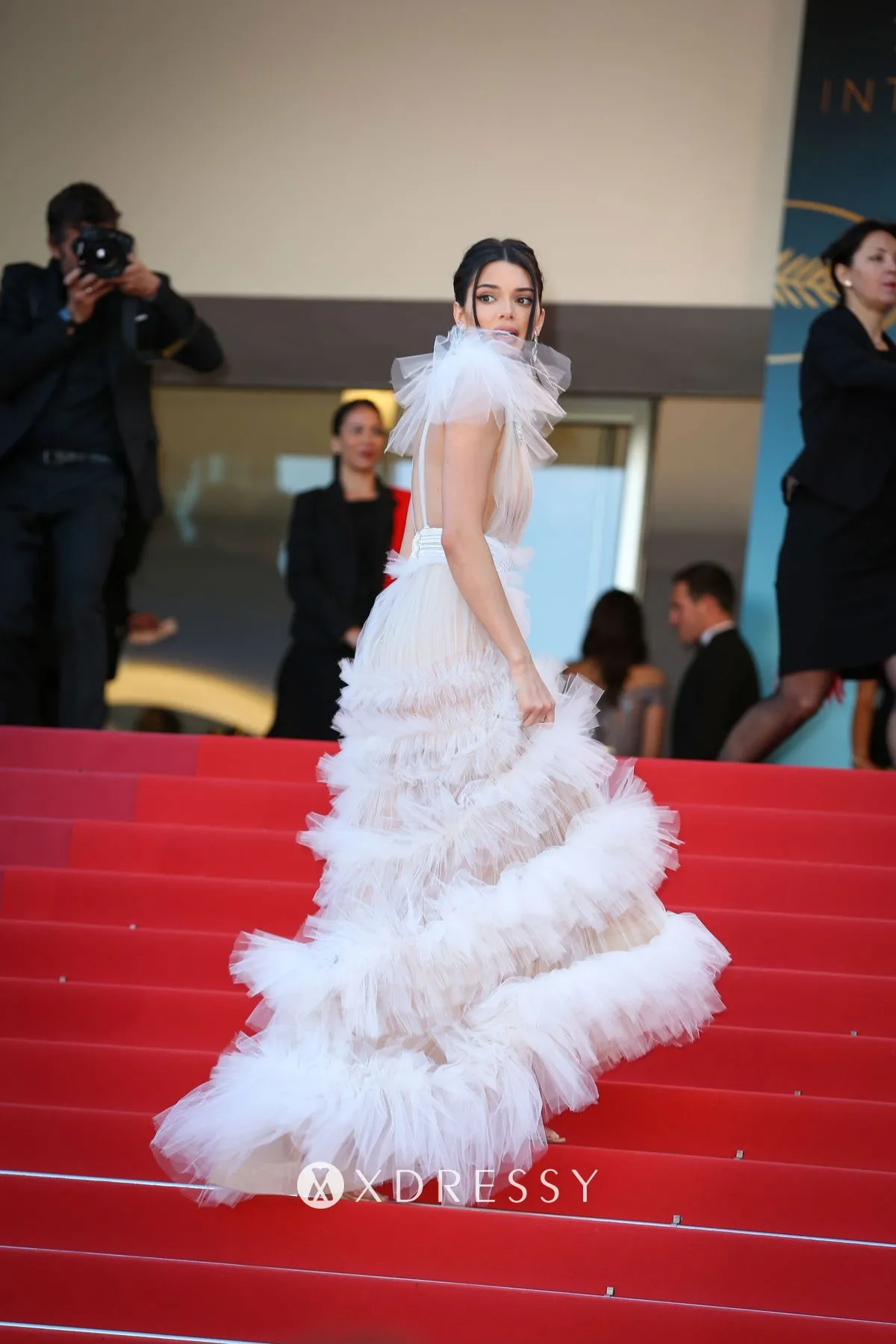 Kendall Jenner sexy sheer tiered tulle prom gown