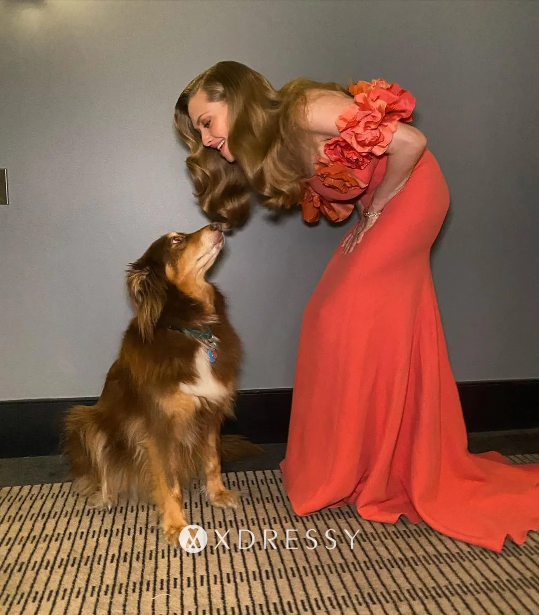 orange formal celebrity dressjpeg orange formal celebrity dressjpeg