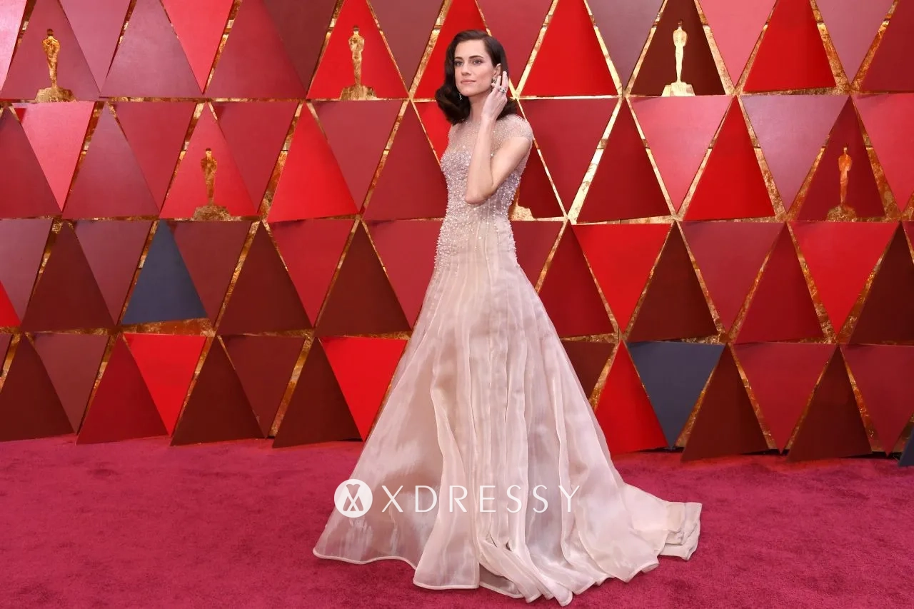 Allison Williams beaded celebrity gown at the 2018 Oscars Allison Williams beaded celebrity gown at the 2018 Oscars