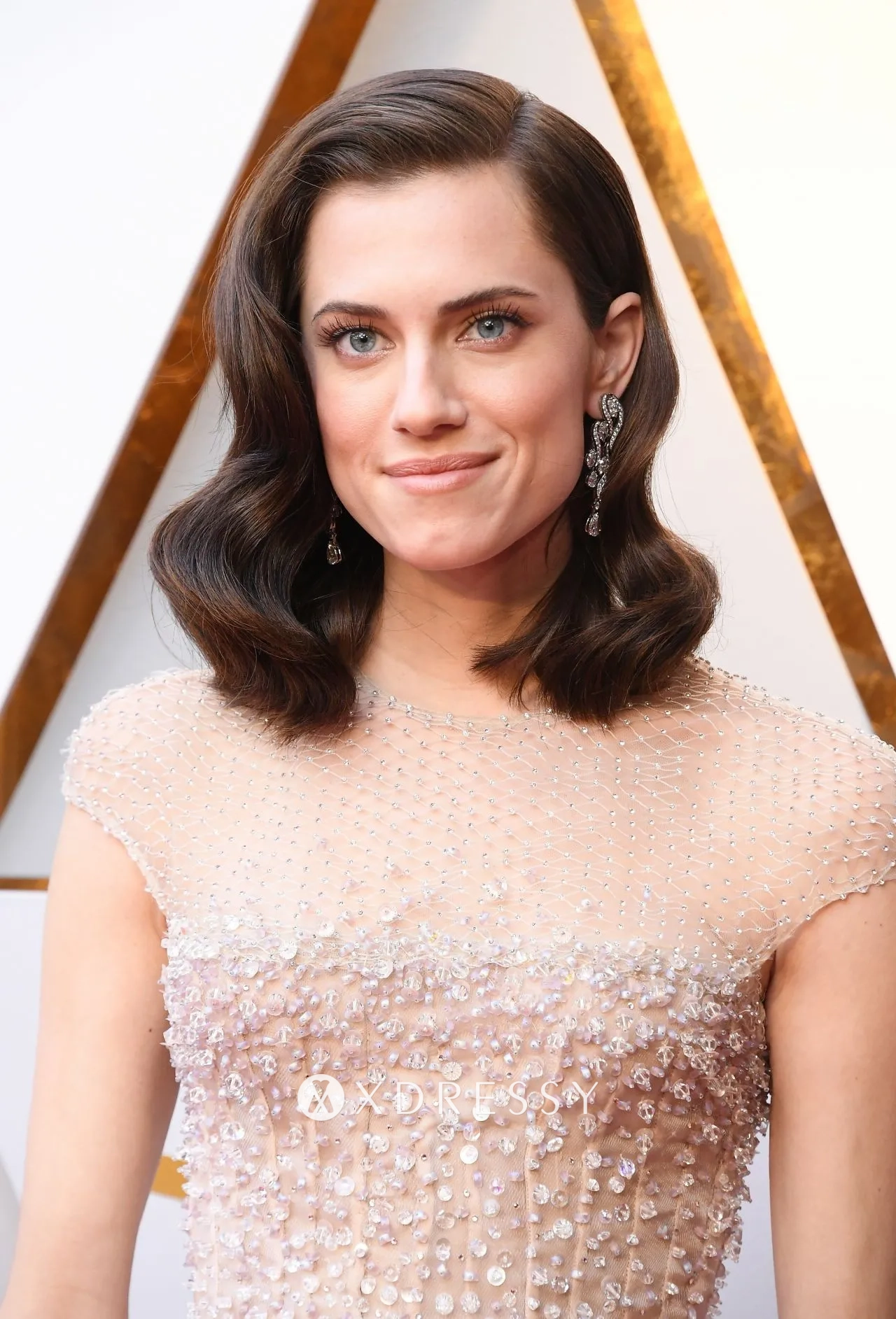 Allison Williams beaded illusion neck dress Allison Williams beaded illusion neck dress