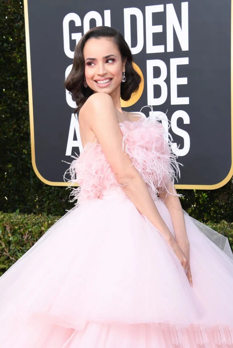Sofi Carson pink tulle feather layered ball gown Sofi Carson pink tulle feather layered ball gown