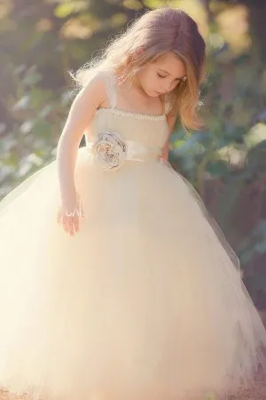 champagne Cinderella ball gown flower girl dress